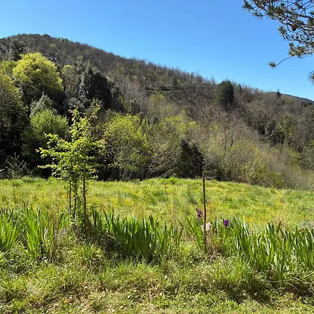 Les Rosiers En Cévennes - Maison Rénovée Avec Jardin Privé - 4 Pers Hébergement de vacances *