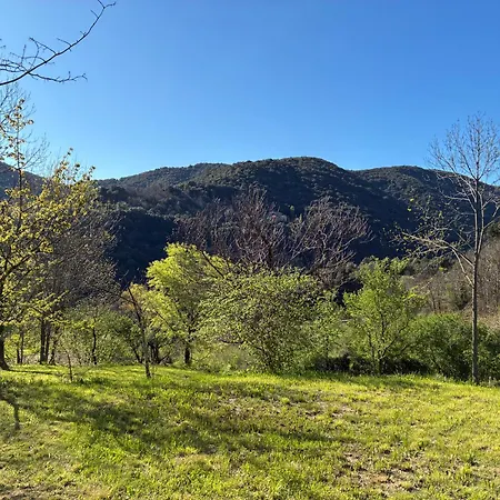Les Rosiers En Cévennes - Maison Rénovée Avec Jardin Privé - 4 Pers