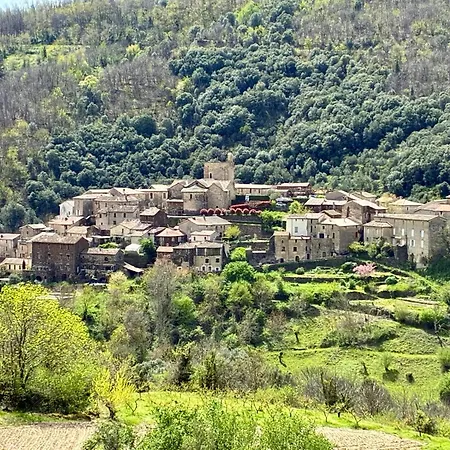Les Rosiers En Cévennes - Maison Rénovée Avec Jardin Privé - 4 Pers
