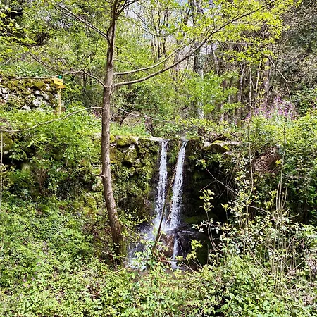 Holiday home La Les Rosiers En Cevennes