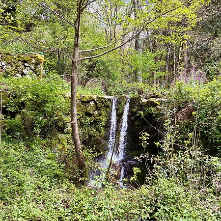 Hébergement de vacances Les Rosiers En Cévennes - Maison Rénovée Avec Jardin Privé - 4 Pers