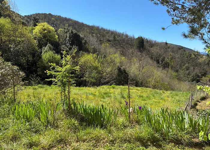 La Les Rosiers En Cevennes 펜션 *