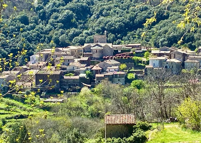 La Les Rosiers En Cevennes 펜션 *