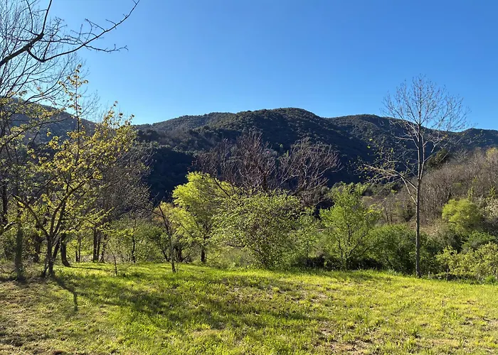 La Les Rosiers En Cevennes