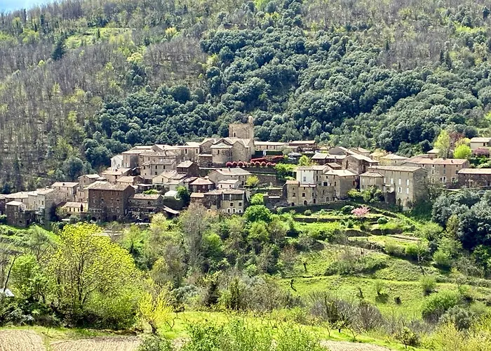 La Les Rosiers En Cevennes