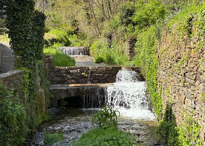 La Les Rosiers En Cevennes * Saint-Martial (Gard)