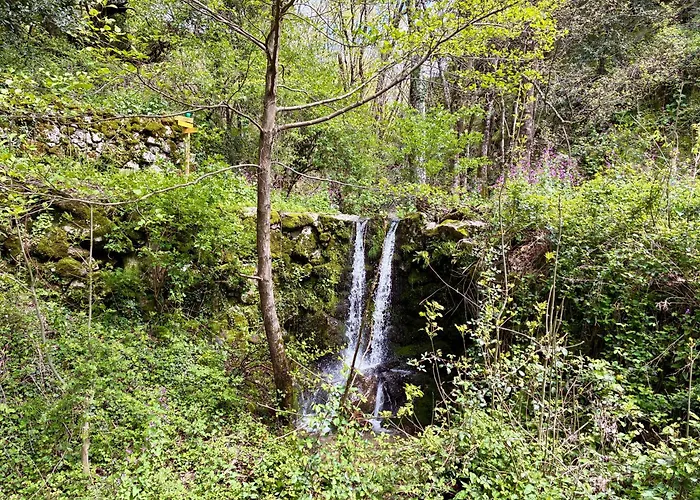 펜션 La Les Rosiers En Cevennes