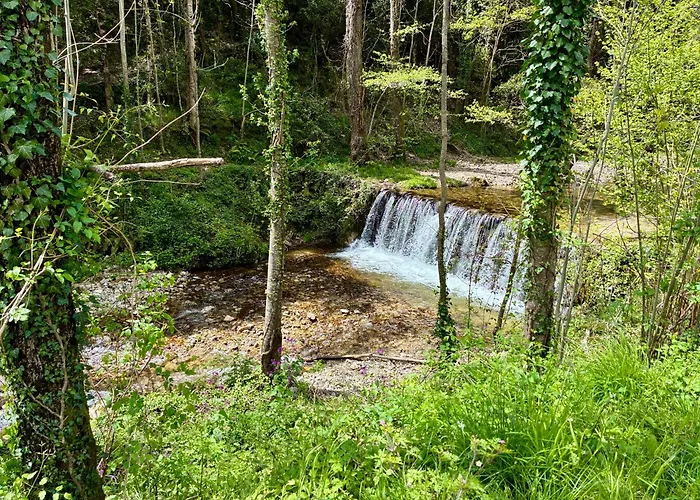 La Les Rosiers En Cevennes