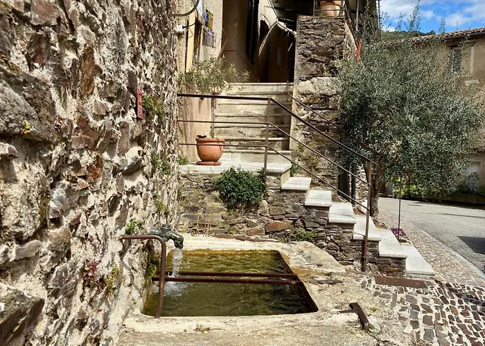 La Les Rosiers En Cevennes * Saint-Martial (Gard)